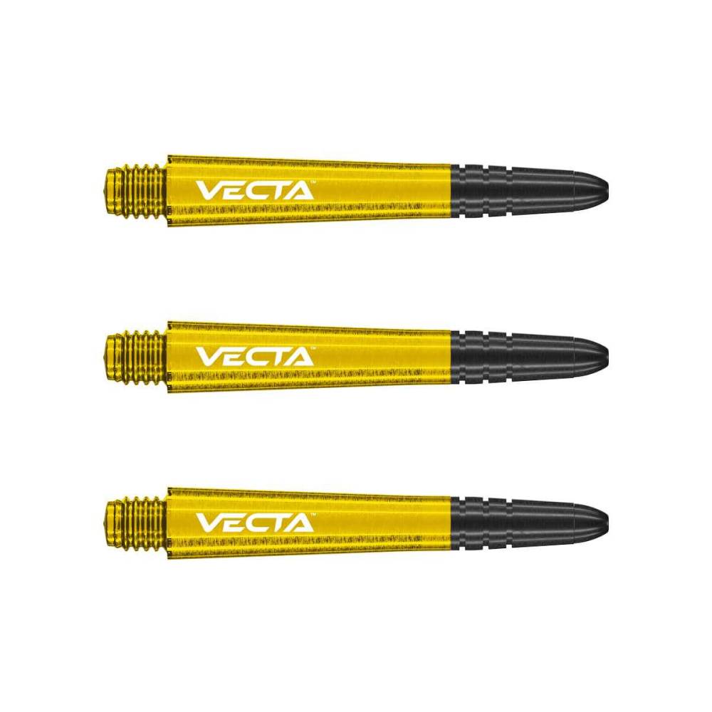 Astine Vecta Intermedie Yellow