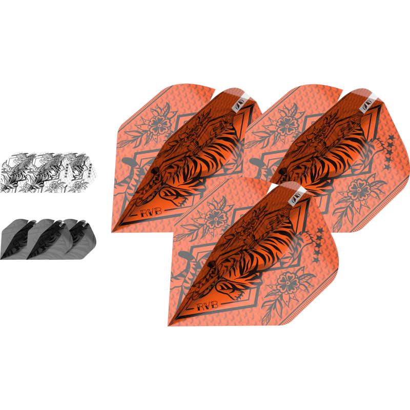 RAYMOND VAN BARNEVELD INK BUNDLE x 3 SETS NO2 FLIGHT BAGGED 2023